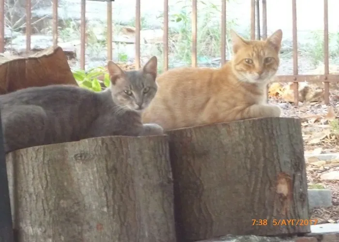 Kalapo Апартаменты